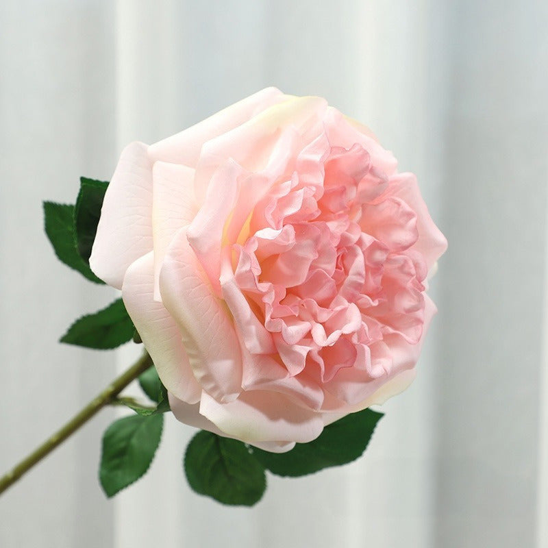 Jumbo Real-Touch Moist-Coated David Austin Rose Silk Stem