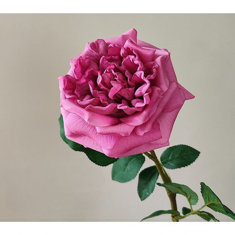 Jumbo Real-Touch Moist-Coated David Austin Rose Silk Stem