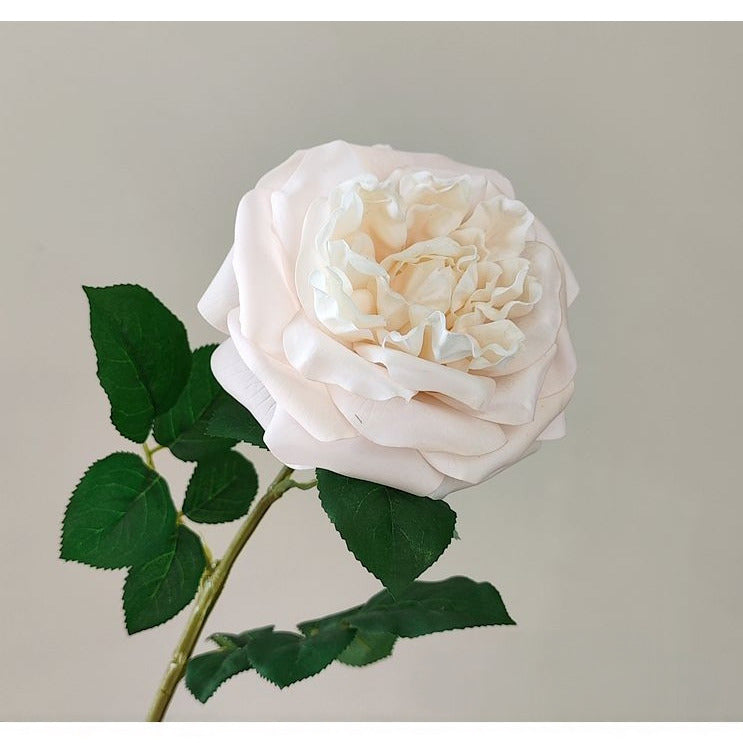 Jumbo Real-Touch Moist-Coated David Austin Rose Silk Stem