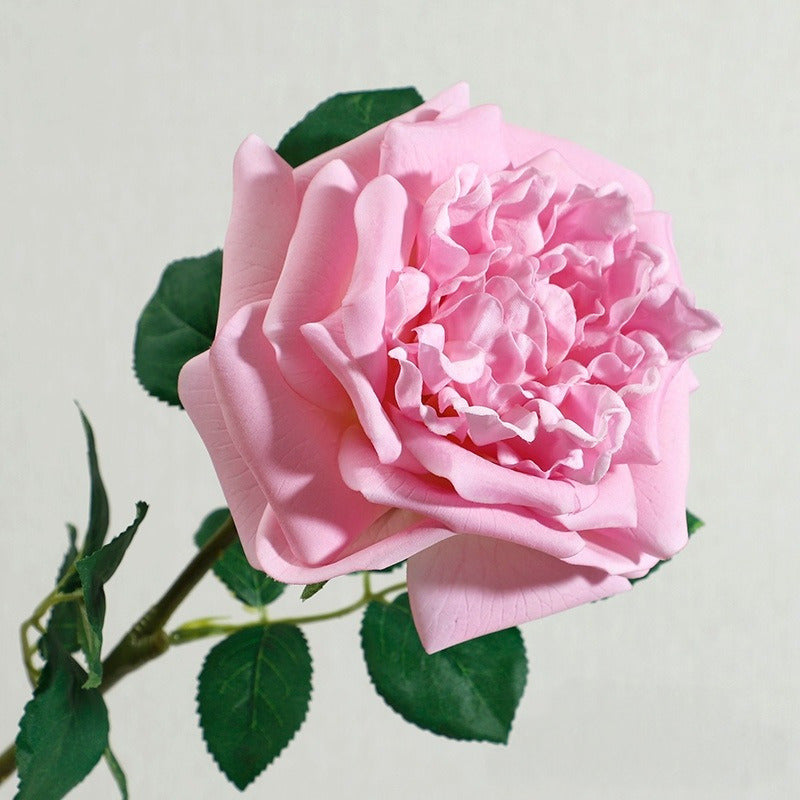 Jumbo Real-Touch Moist-Coated David Austin Rose Silk Stem