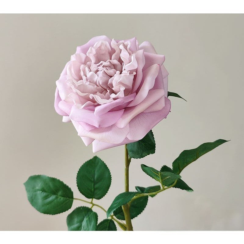 Jumbo Real-Touch Moist-Coated David Austin Rose Silk Stem