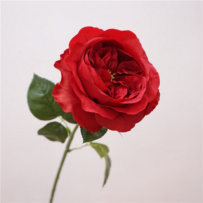 Jumbo Real-Touch Moist-Coated Juliet Rose Silk Stem