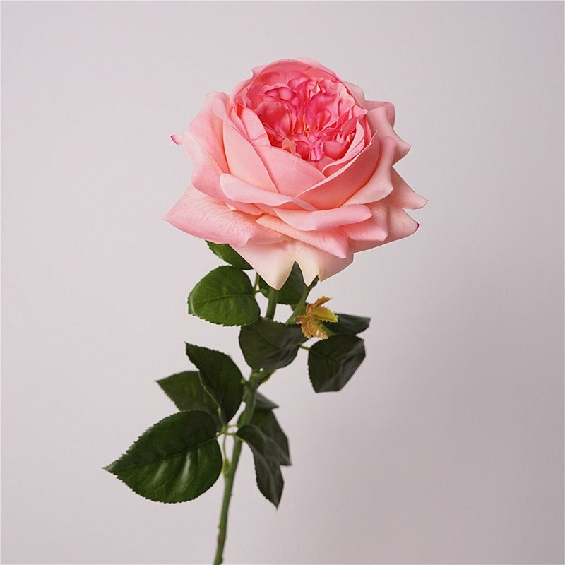 Jumbo Real-Touch Moist-Coated Juliet Rose Silk Stem