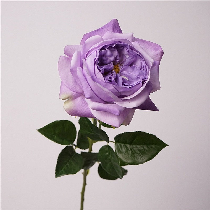 Jumbo Real-Touch Moist-Coated Juliet Rose Silk Stem