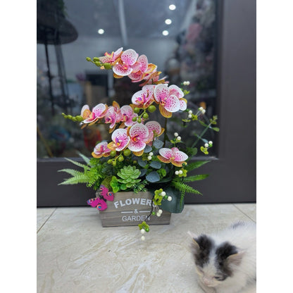 Real-Touch Mini Phalaenopsis Orchid Potted Plant | EternalBloom