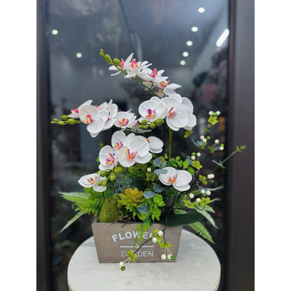 Real-Touch Mini Phalaenopsis Orchid Potted Plant | EternalBloom