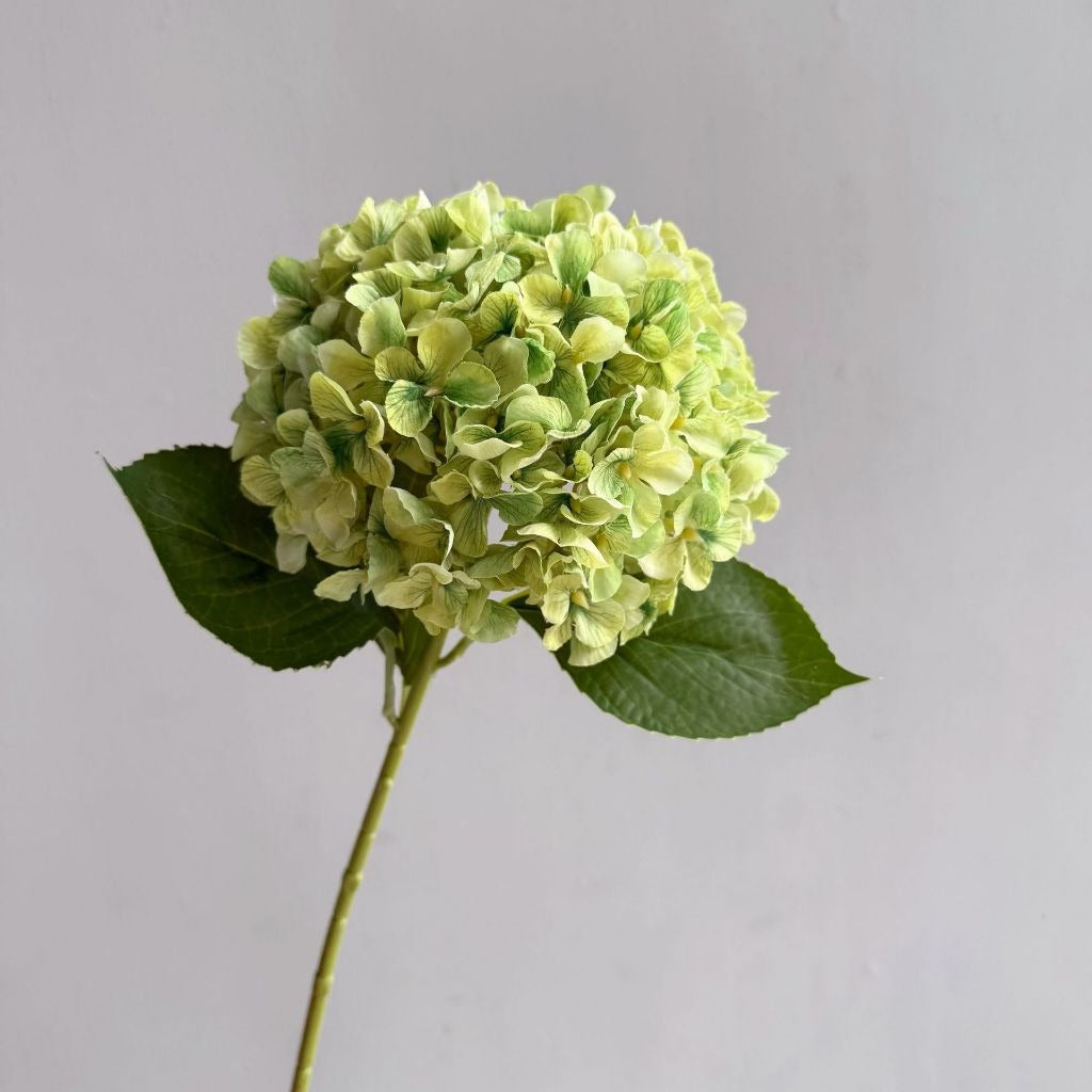 3D Printed Premium Silk Hydrangea Flower Stem