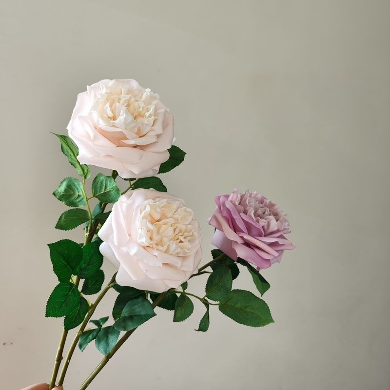 Jumbo Real-Touch Moist-Coated David Austin Rose Silk Stem