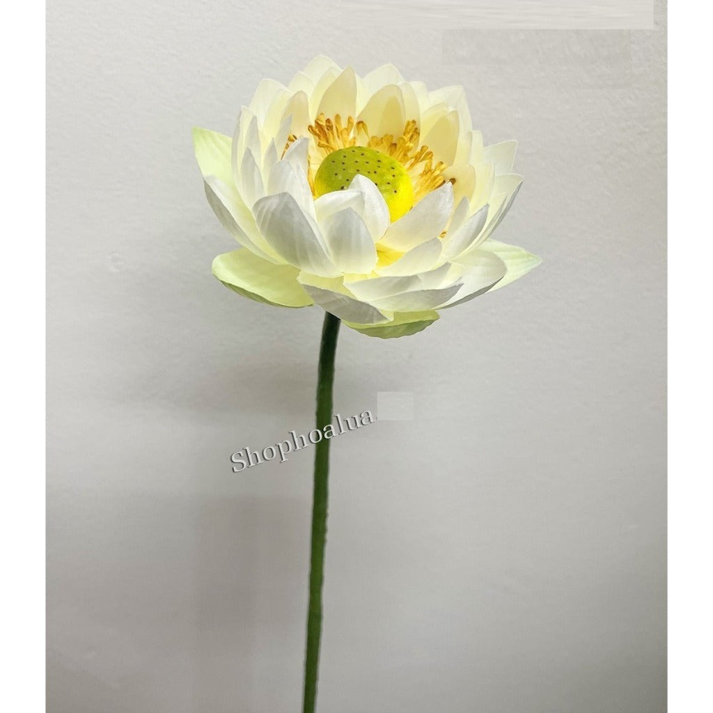 Lifelike Silk Lotus Flowers & Real-Touch Faux Lotus Pods |EternalBloom