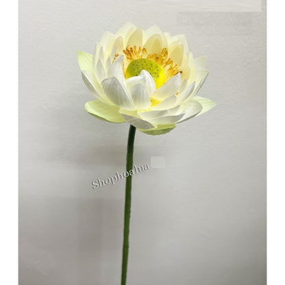 Lifelike Silk Lotus Flowers & Real-Touch Faux Lotus Pods |EternalBloom