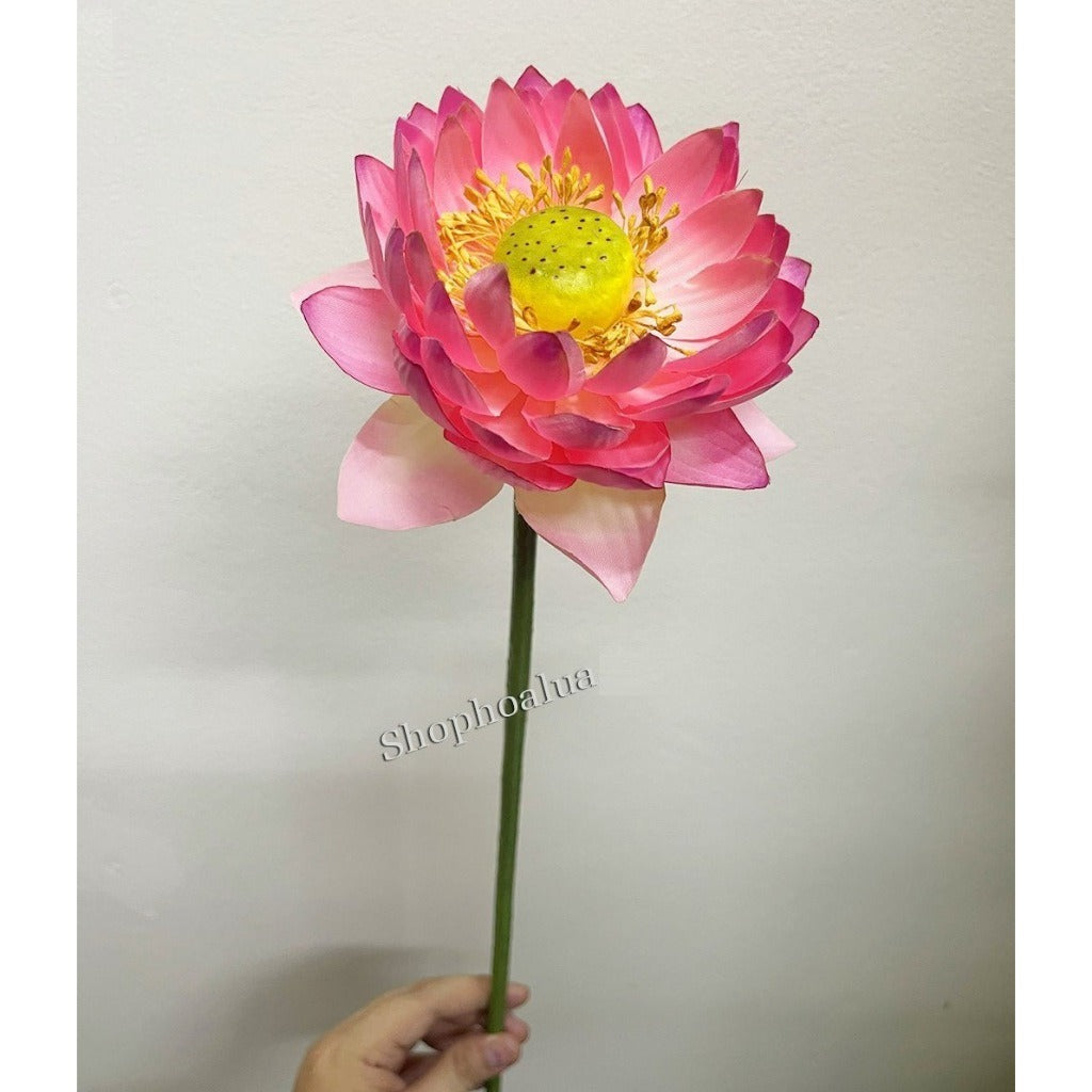 Lifelike Silk Lotus Flowers & Real-Touch Faux Lotus Pods |EternalBloom