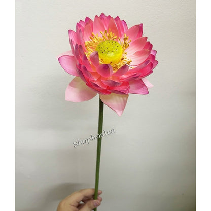 Lifelike Silk Lotus Flowers & Real-Touch Faux Lotus Pods |EternalBloom