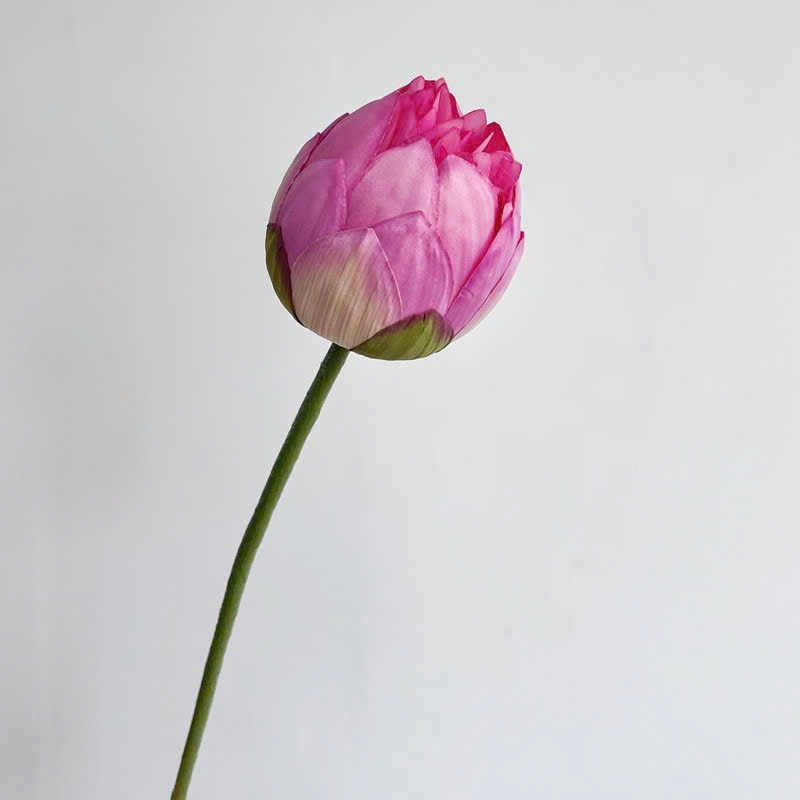 Lifelike Silk Lotus Flowers & Real-Touch Faux Lotus Pods |EternalBloom