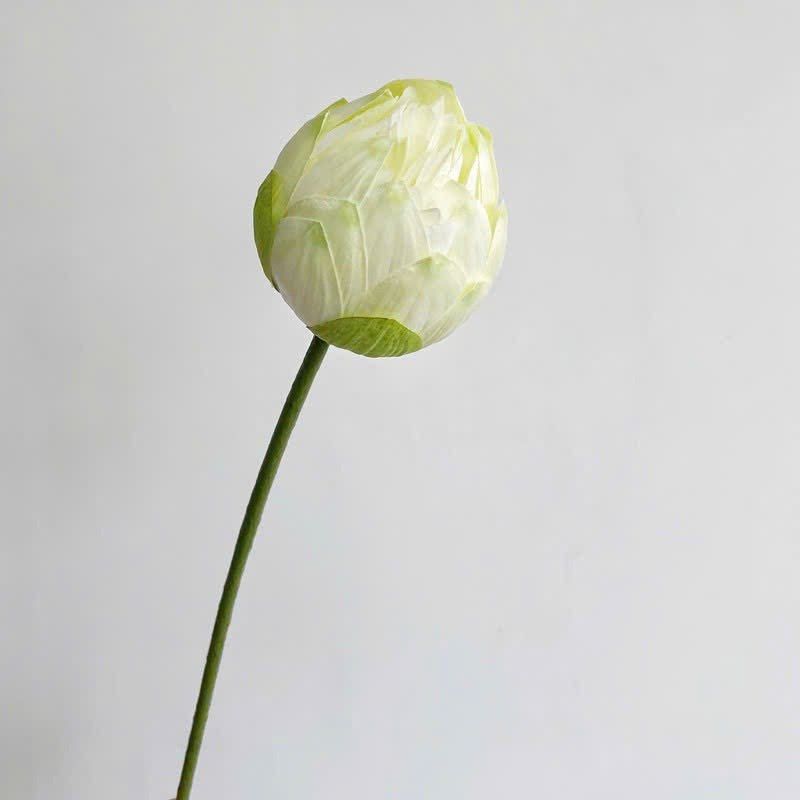 Lifelike Silk Lotus Flowers & Real-Touch Faux Lotus Pods |EternalBloom