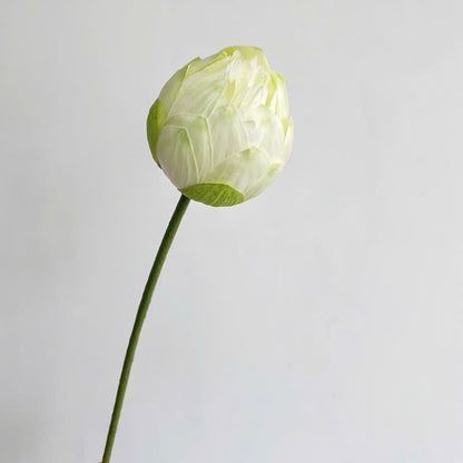 Lifelike Silk Lotus Flowers & Real-Touch Faux Lotus Pods |EternalBloom