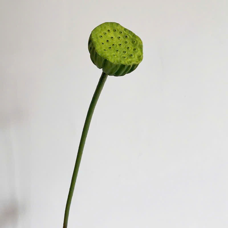 Lifelike Silk Lotus Flowers & Real-Touch Faux Lotus Pods |EternalBloom