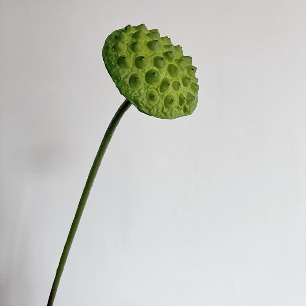 Lifelike Silk Lotus Flowers & Real-Touch Faux Lotus Pods |EternalBloom
