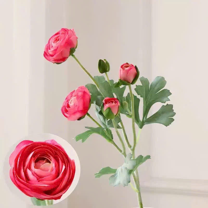 Premium Silk Ranunculus Flower Stem| EternalBloom