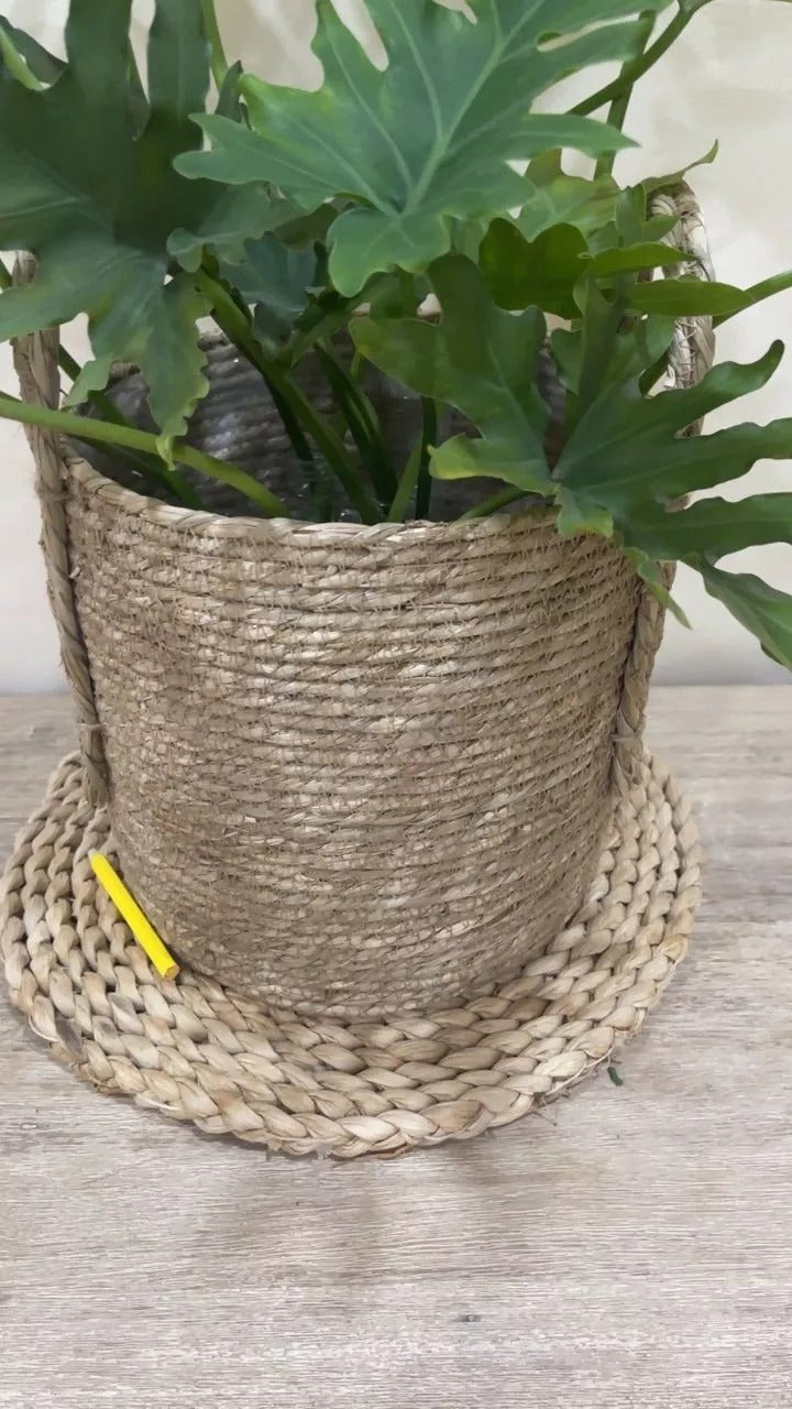 Handcrafted Water Hyacinth Woven Planter Basket with Handles & Waterproof Liner