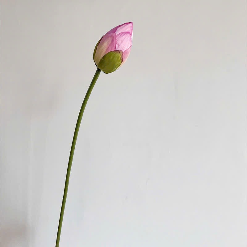 Lifelike Silk Lotus Flowers & Real-Touch Faux Lotus Pods |EternalBloom
