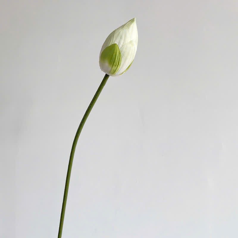 Lifelike Silk Lotus Flowers & Real-Touch Faux Lotus Pods |EternalBloom