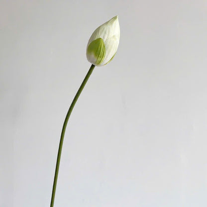 Lifelike Silk Lotus Flowers & Real-Touch Faux Lotus Pods |EternalBloom