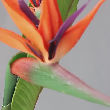 Real-Touch Artificial Bird of Paradise Flower | EternalBloom