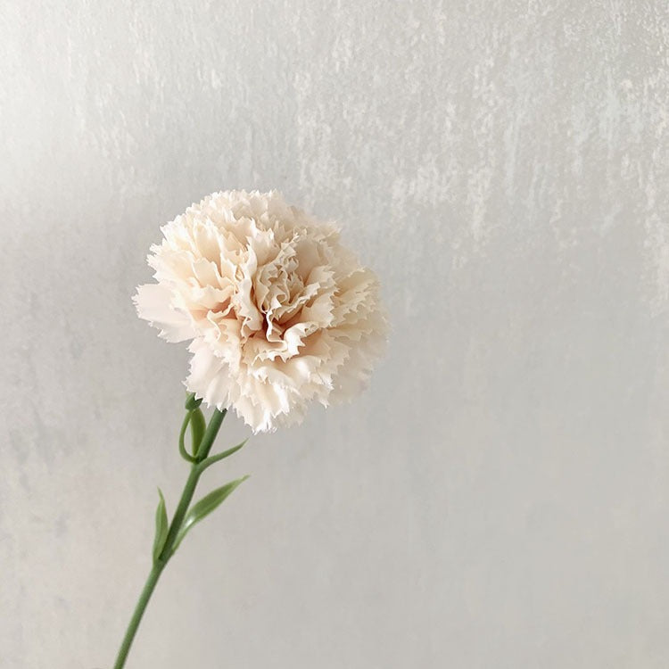 Premium Silk Carnation Single Stem