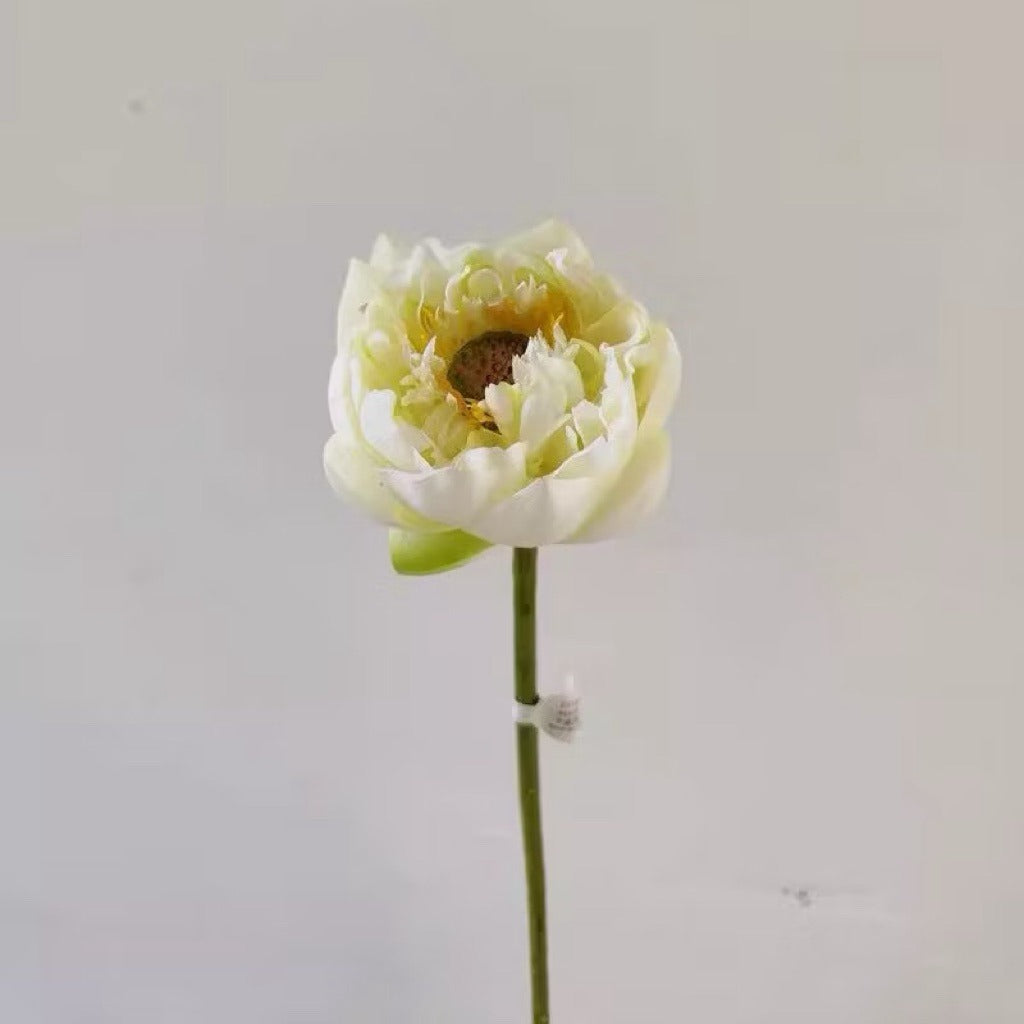 Lifelike Silk Lotus Flowers & Real-Touch Faux Lotus Pods |EternalBloom