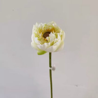Lifelike Silk Lotus Flowers & Real-Touch Faux Lotus Pods |EternalBloom