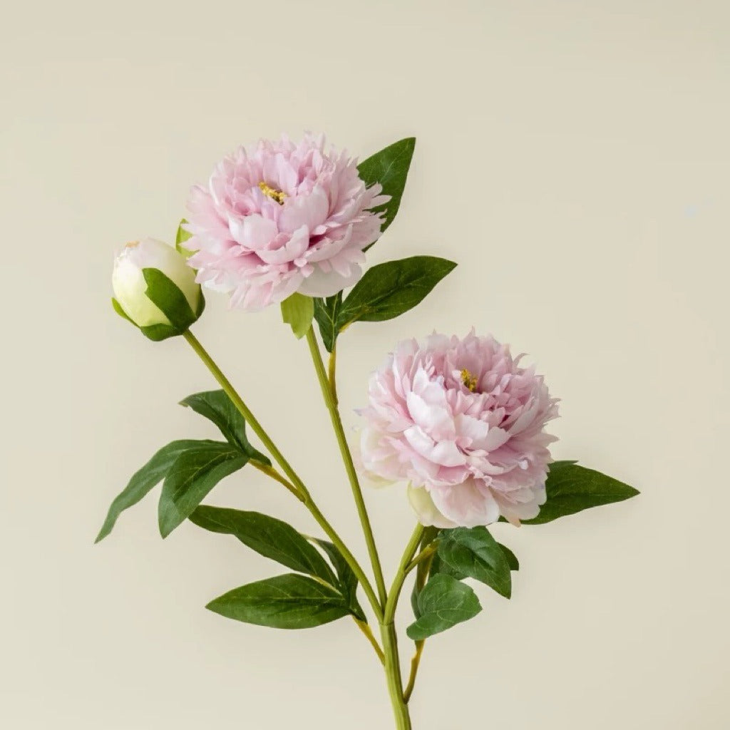 Lifelike Double Peony Silk Flower Stem | EternalBloom