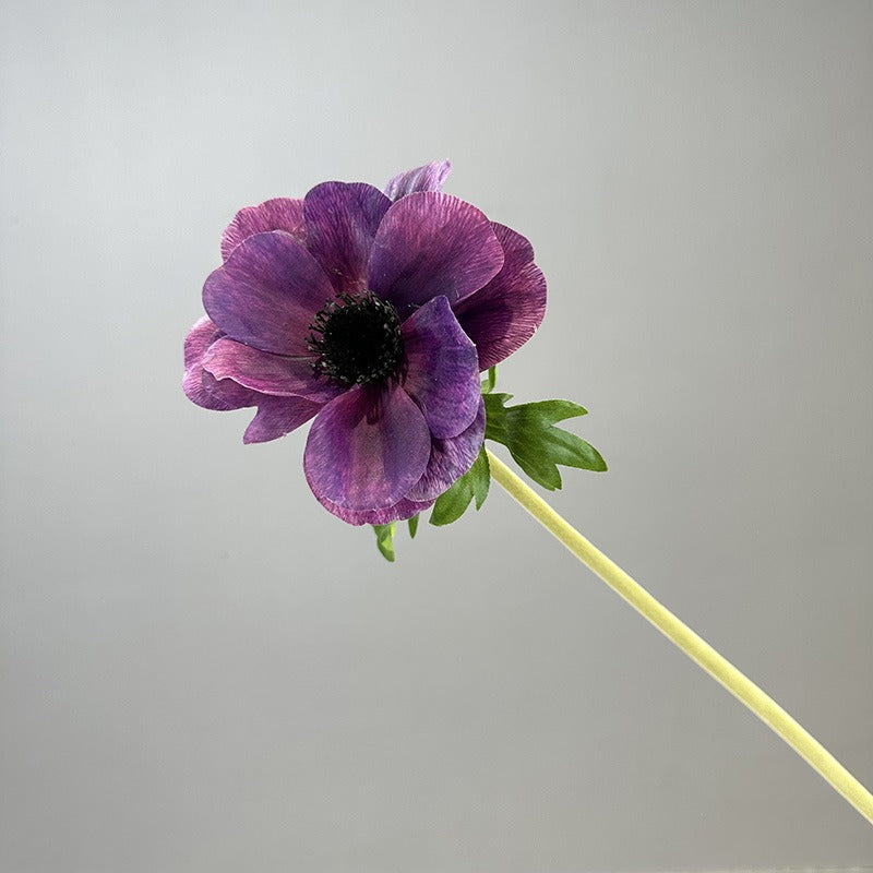 Lifelike Silk Anemone Flower Stem | EternalBloom