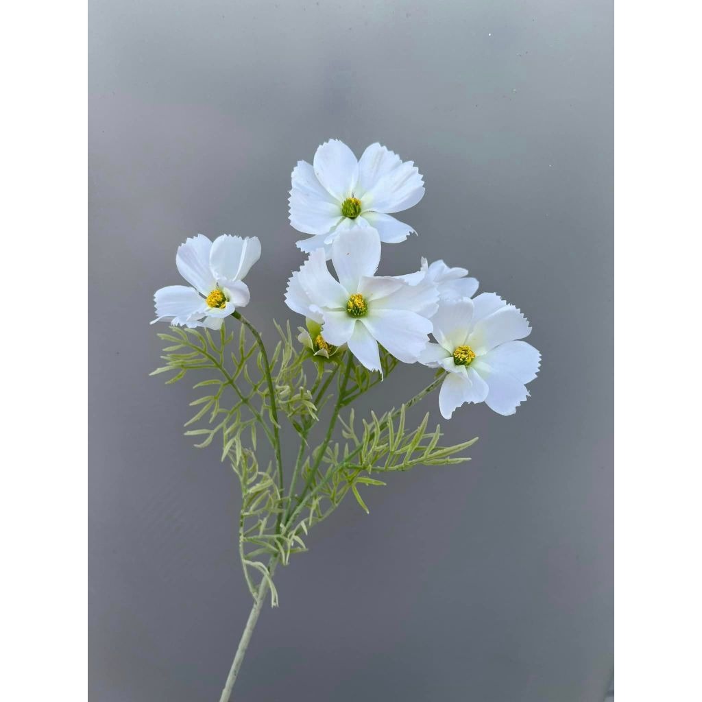 Lifelike Cosmos Silk Flower Stem | EternalBloom