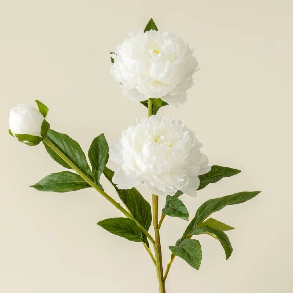 Lifelike Double Peony Silk Flower Stem | EternalBloom